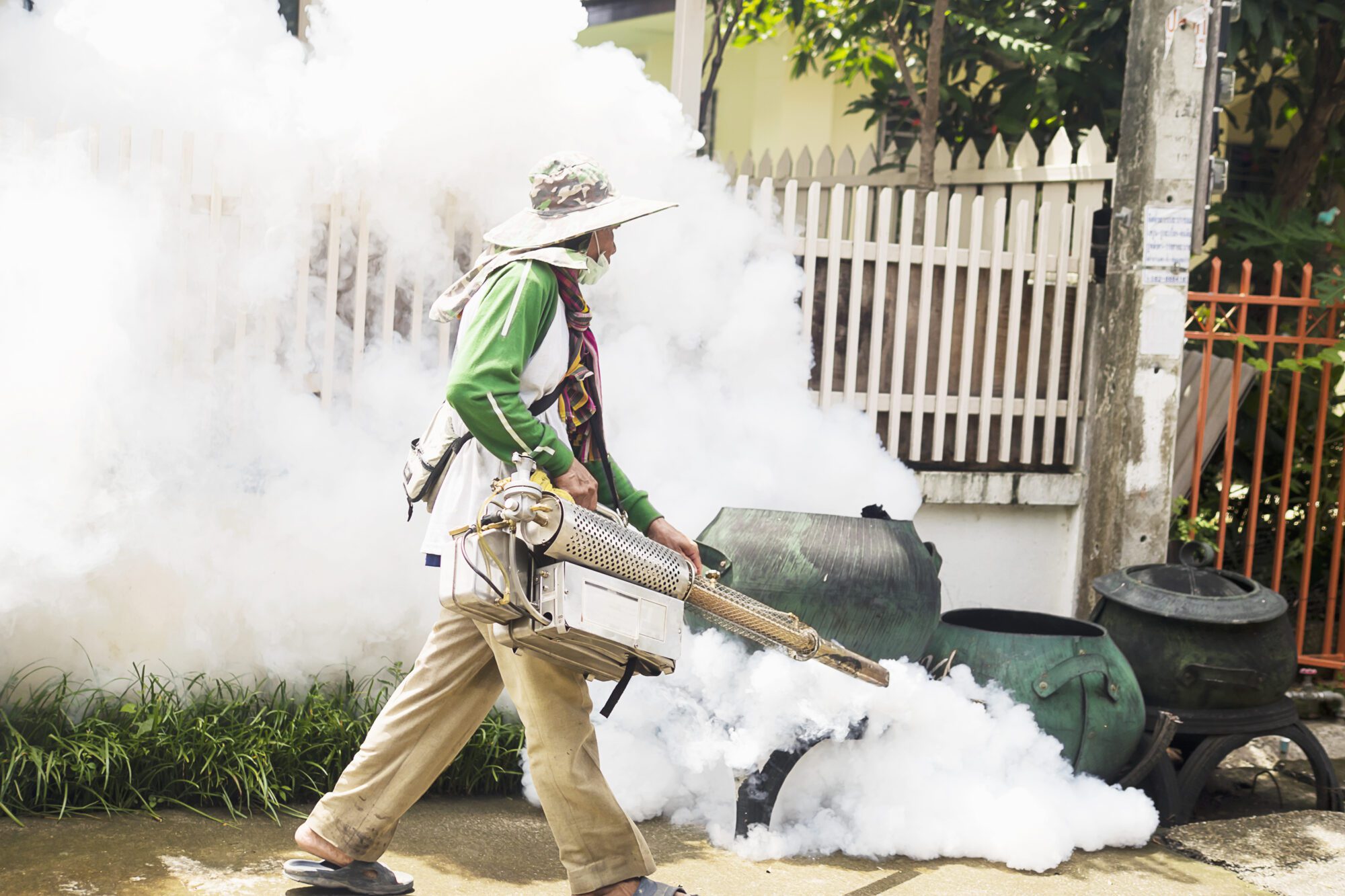 Best Pest Control Service in Kolkata by DADSON HPS