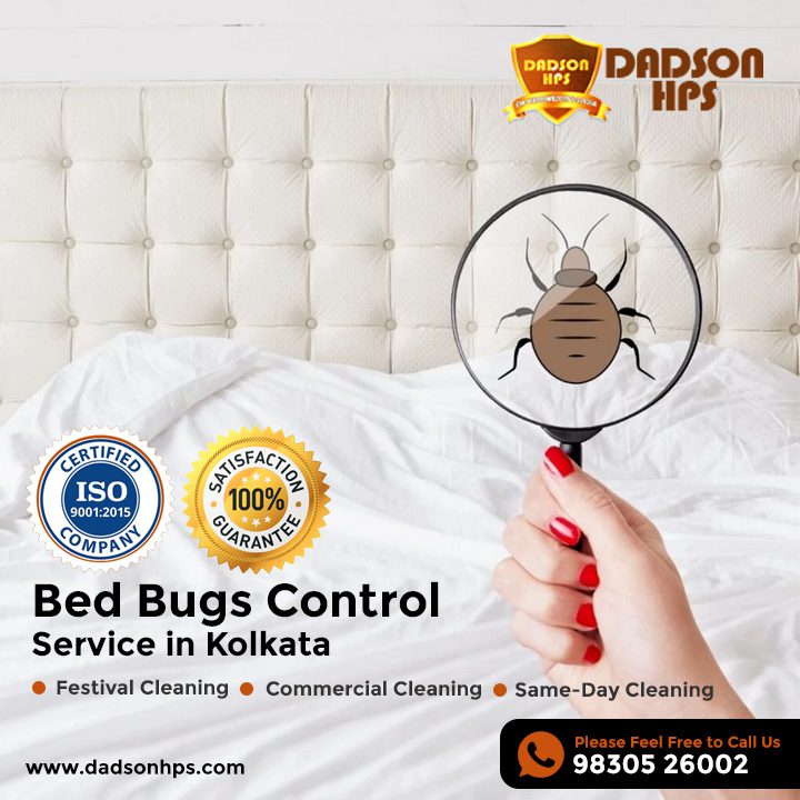 Bed Bugs Control Service in Kolkata