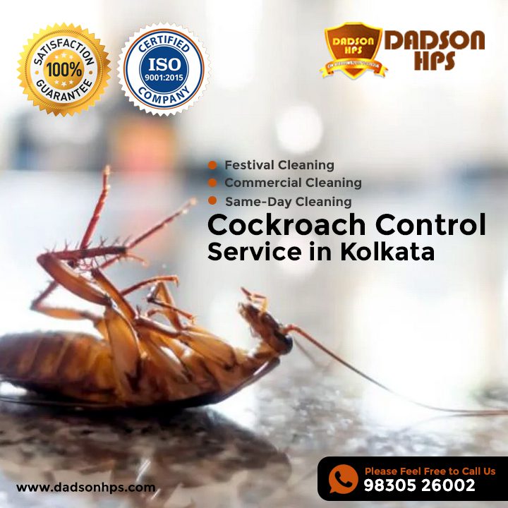 Cockroach Control Service in Kolkata